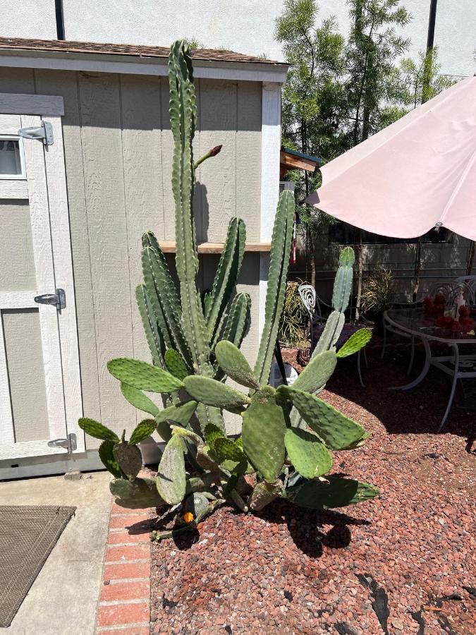 Private Los Angeles Room - Free Wifi, Ac, Tv, Private Fridge, Kitchen, Near Usc - Exposition Park - Usc Memorial Coliseum - Banc Of California Bmo Stadium - Downtown Los Angeles Dtla - University Of Southern California Usc!!! Exterior foto